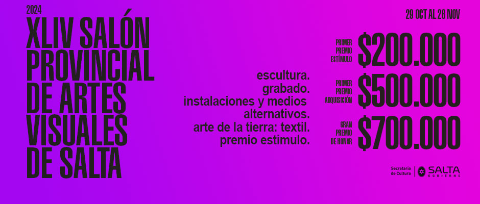 Salón Provincial de Artes Visuales 2024